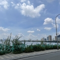 (HIẾM) Bán nhà mặt phố Vũ Miên, view Hồ Tây, VỈA HÈ rộng, 112m2, mặt tiền rộng, 50 tỷ