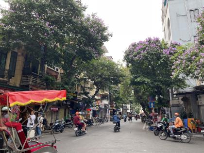 Bán nhà mặt phố Hàng Bè - phố cổ Hoàn Kiếm, kinh doanh đẳng cấp, 28m2, 21 tỷ