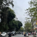 (GẤP) Bán nhà KINH DOANH mặt phố quận Hai Bà Trưng - phường Phạm Đình Hổ, 2 thoáng, 64m2, 20 tỷ