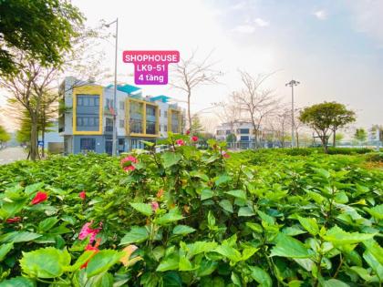 Cần bán nhanh Shophouse khu Phố Nối House 4 tầng view Công viên, giá nhỉnh 4 tỷ