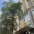 (Transfer Project) Super VIP Commercial Building on Main Street in Hoàng Mai District, 4 Frontages, 2,800 m² x 8 Floors,