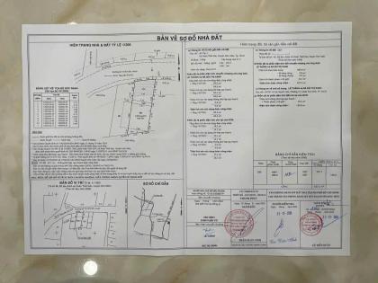 Bán Đất Tặng Nhà Cấp 4 Mặt Tiền Đường 10m Xuân Thới Sơn 30, Hóc Môn