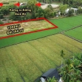 Bán 1.000m² (21 x 48) đất view kênh - full thổ cư Bình Mỹ, Củ Chi Giá rẻ hơn 10₫