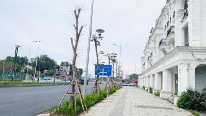 Chuyển công tác bán LÔ GÓC Louis City 3 Đại Mỗ, 120m, 5 tầng, 2 thoáng trước sau, vỉa hè rộng, giá