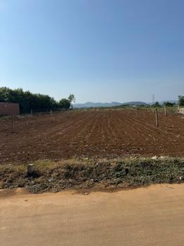 BÁN 462M2 ĐẤT PHÚ HỘI ĐỨC TRỌNG - CÓ SẴN 100M2 THỔ CƯ