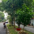 Hẻm Xe hơi Nguyễn Cửu Đàm, Q.Tân Phú 4x16m2, vuông đẹp chỉ 6 tỷxx
