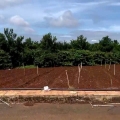 Bán nhanh 3 nền thổ cư hiệp thạnh liên nghĩa Đức Trọng - giá chưa chạm 1 tỷ