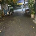 Chính chủ bán nhà CMT8.P5.Q.Tân Bình ( đi hẻm 207 Phạm Văn Hai rộng hơn,thoáng hơn ).Vị trí trung tâm,giáp quận 3,quận 1