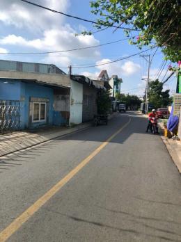 KẸT BÁN GẤP KHO XƯỞNG ĐANG HĐ ĐƯỜNG CONTER ĐÔNG THẠNH 6-3, HM