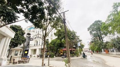CƠ HỘI VÀNG: LOUIS CITY LÔ GÓC - 160M 5 tầng MT25m giá 42 tỷ (có Tl) - KINH DOANH VIP - DÒNG TIỀN