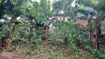 BÁN 150m Đất Hạ Trại ( Thống Nhất ) Long Biên   MT 9m , oto ,KD,giá 12,5 ty .