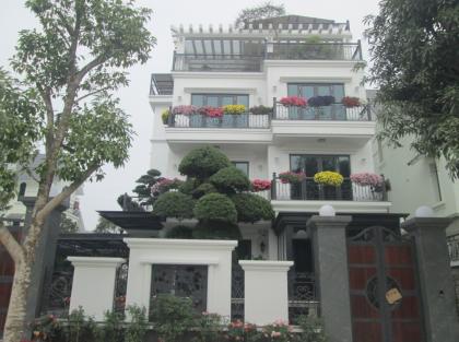 Tôi bán biệt thự KĐT Việt Hưng mặt phố Bùi Thiện Ngộ gần phố Lưu Khánh Đàm 250m2 chỉ 59.9 tỷ.