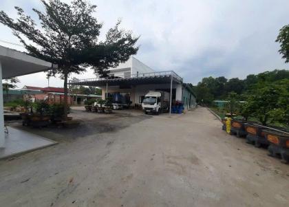 BÁN LÔ ĐẤT 4.638M MẶT TIỀN ĐƯỜNG THANH NIÊN – TẶNG XƯỞNG
