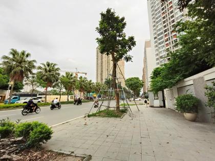 Biệt thự VIP Văn Phú, DT 240m MT12m, đường đôi Văn Khê, 62 tỷ Hà Đông