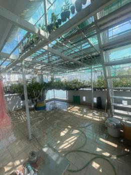 Bán nhà quận 10, đường Lê Hồng Phong, 38m2, 7 tỷ, gần mặt tiền