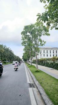 NHÀ ĐẸP CẠNH KĐT VIỆT HƯNG LONG BIÊN, GẦN PHỐ, GIÁ HỜI