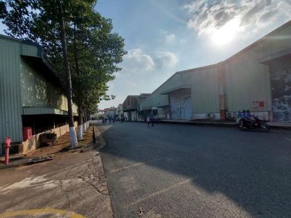 Cho thuê nhà xưởng 15.000m2 tại Biên Hòa, Đồng Nai giá chỉ 2.5usd/m²