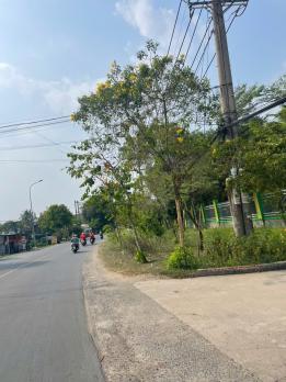 BÁN GẤP 6.589m² ĐẤT ĐẸP TẠI XÃ XUÂN THỚI THƯỢNG – HÓC MÔN, 6400m² THỔ CƯ