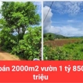 HẠ GIÁ TỪ 2.6 TỶ XUỐNG BÁN 1 tỷ 850 triệu - 2 sào đất vườn tổ 32 liên nghĩa-đức trọng -lâm đồng