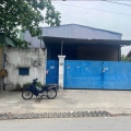 Ngộp Bán Xưởng MT Xuân Thới 2, Hóc Môn Gần Trần Văn Mười Full Thổ Giá 15.8 Tỷ!