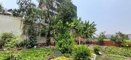 ĐẤT FULL THỔ CƯ THỚI TAM THÔN, HÓC MÔN – GẦN TÔ KÝ, ĐƯỜNG Ô TÔ GIÁ 6.5 TỶ