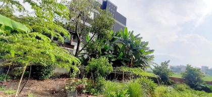 ĐẤT FULL THỔ CƯ THỚI TAM THÔN, HÓC MÔN – GẦN TÔ KÝ, ĐƯỜNG Ô TÔ GIÁ 6.5 TỶ