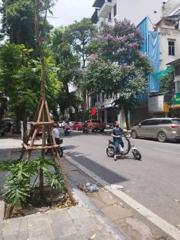 Bán Nhà Mặt Phố Quận 2 Bà Trưng 210m2-4T MT7m Vỉa Hè 1 SỔ 1 CHỦ 152 Tỷ Ngô Thị Nhậm.