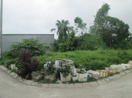 Hơn 4 tỷ Lô Góc đất đấu giá Siêu Quần, Tả Thanh Oai ô tô tránh cạnh Vành đai 3.5. 0989626116
