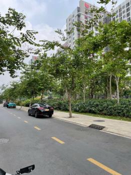 NHÀ (8.5x30) MTKD – ĐỐI DIỆN CC PICITY HIGH PARK – 255M² FULL THỔ CƯ 15 TỶ (TL)