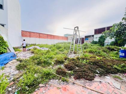 LÔ ĐẤT ĐẸP (21x25) - 522M² - VUÔNG A4 - PHÂN LÔ - XÂY BIỆT THỰ VƯỜN - GIÁP Q12