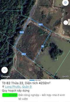Bán đất mặt tiền sông Đồng Nai, diện tích lớn phường Long Phước (Thủ Đức) TPHCM giá rẻ