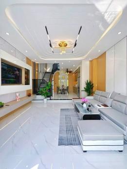 Chính chủ bán gấp nhà đường Hưng Nhơn, Bình Chánh - 80m2