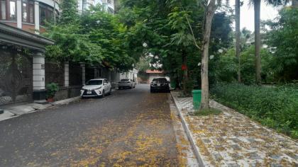 Bán GẤP BT Vườn Đào Quận Tây Hồ 120m2-7T MT8m VIEW Vườn Hoa 58 Tỷ Võ Chí Công.