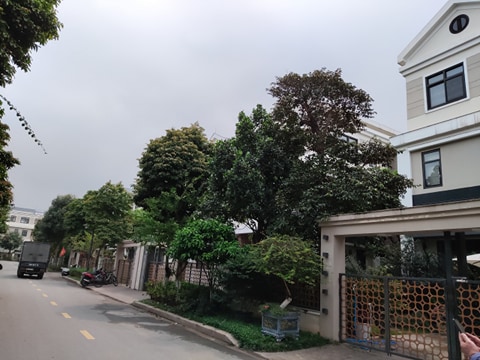 Bán Nhà vị trí đẹp Khu Phân Lô Đường Võ Chí Công, Lạc Long Quân Cầu Giấy, Tây Hồ.  ???? PHÂN LÔ HỒ TÂY KHẲNG ĐỊNH ĐẲNG CẤP