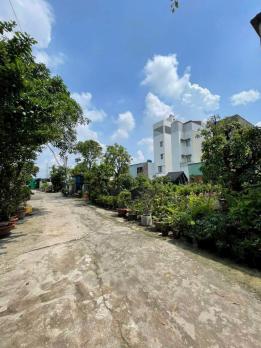 CÒN 2 LÔ ĐẤT ĐẸP (4x20) HXH TRẦN THỊ NĂM, TÂN CHÁNH HIỆP, Q.12 – FULL THỔ