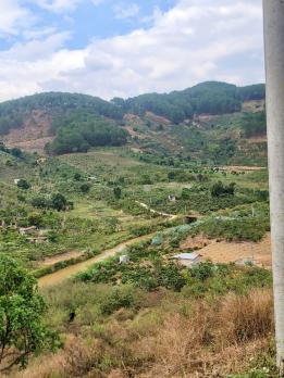 CẦN BÁN 6525M ĐẤT SỔ RIÊNG TÀ NUNG ĐÀ LẠT - giá chỉ 6 tỷ