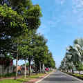 Mặt tiền đường lớn Võ Nguyên Giáp