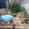 Bán đất  Phú Thượng, 42m2, phân lô, ô tô,  nhỉnh 5tỷ.