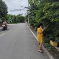 BÁN ĐẤT MẶT TIỀN NHỊ BÌNH 3 – HÓC MÔN – DIỆN TÍCH LỚN – CÓ 300M² THỔ CƯ