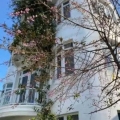 CHO THUÊ VILLA SÂN VƯỜN - CÔ GIANG PHƯỜNG 9 ĐÀ LẠT