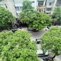 Bán Nhà Mặt Phố Quận Hai Bà Trưng 65m2-5T MT5,5m Vỉa Hè 36,5 Tỷ Lê Thanh Nghị.