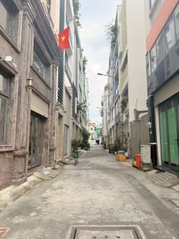 ĐẸP NHƯ NGỌC TRINH - TÂN BÌNH - LẠC LONG QUÂN, 55m2, 5 tầng, siêu xe ngủ nhà, giá bất ngờ.