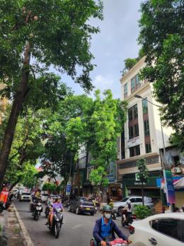 Bán tòa nhà MP Lò Đúc Hai Bà Trưng, lô góc đẹp hiếm, tiềm năng KD đỉnh giá 170 tỷ. LH: 0366 051 ***