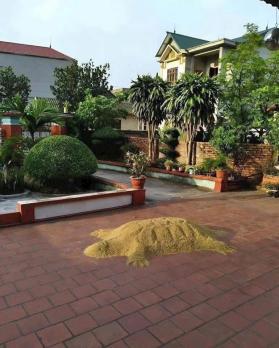 BÁN BIỆT THỰ VƯỜN + ĐẤT MẶT TIỀN NHỰA – TÂN THÔNG HỘI, CỦ CHI CHỈ 10TR/M².