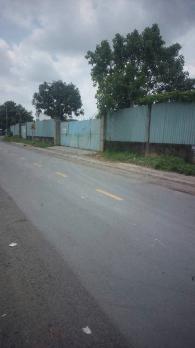 BÁN ĐẤT MẶT TIỀN TÂN THỚI NHÌ 1 – HÓC MÔN – DIỆN TÍCH KHỦNG 2300M² – CHỈ 22 TỶ
