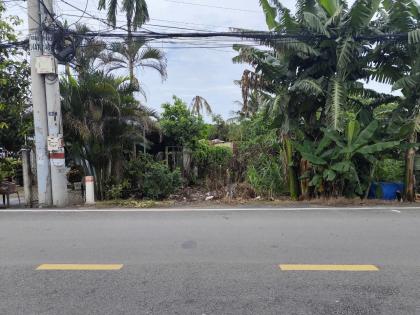 BÁN ĐẤT MẶT TIỀN NHỊ BÌNH 3 – HÓC MÔN – DIỆN TÍCH LỚN – CÓ 300M² THỔ CƯ