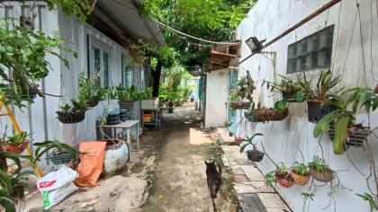 Bán 3000m2 Đất thổ cực đẹp, Nguyễn Hữu Tiến, Tây Thạnh Tân Phú chỉ 220 Tỷ