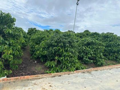 Bán 21000m2 ( 21 sào ) đất nhà , ao, vườn cà phê -Xã Liên Hiệp - Đức Trọng Lâm Đồng