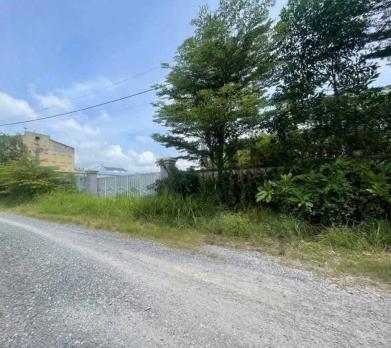 RẺ NHẤT BÌNH MỸ – 3.800m² FULL TƯỜNG RÀO – GẦN VÀNH ĐAI 3 – GIÁ CHỈ 28 TỶ‼️