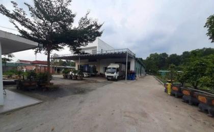 BÁN ĐẤT MẶT TIỀN ĐƯỜNG THANH NIÊN – BÀ ĐIỂM, HÓC MÔN – NGANG KHỦNG 61M